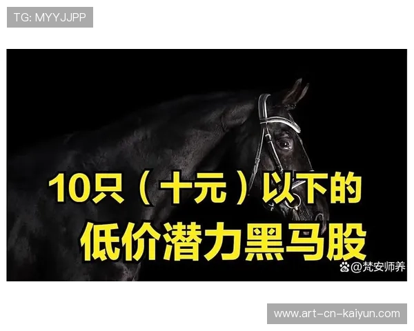 潜力新人：未来五年最值得关注的“黑马新秀”，潜力股和黑马是一个意思吗