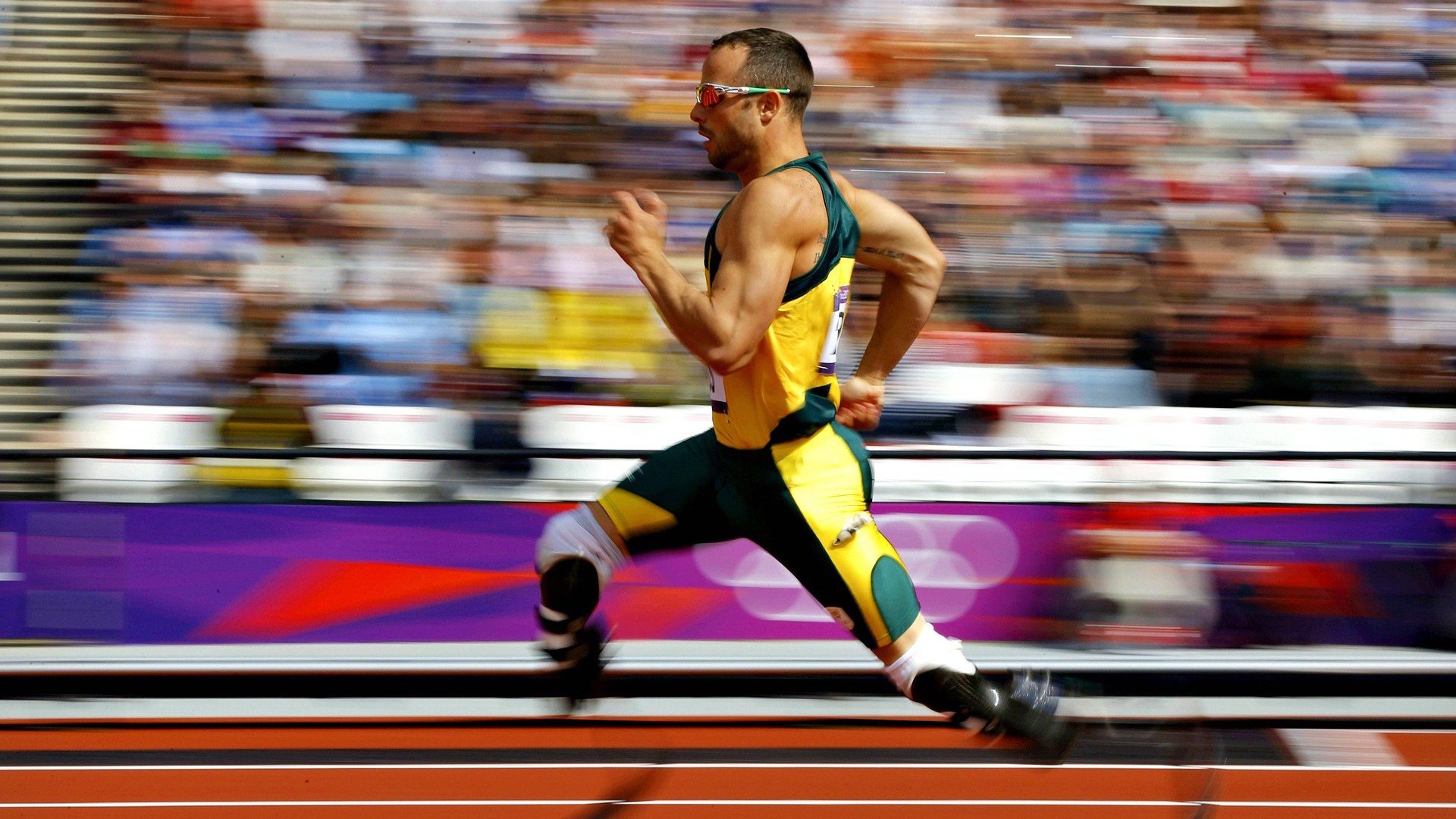 体育新闻中心推动体育场馆传播场景数字化改造，体育场馆信息化建设