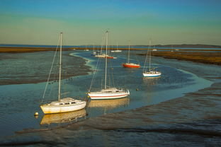 开云在线入口-兴隆湖上演“国际艇战”，多国精英争锋